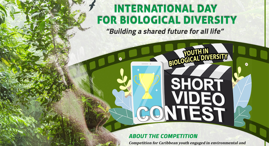 The CARICOM Secretariat launched a Short Video Contest for Youth in Biological Diversity during the first Webinar of the Biodiversity Webinar Series 2022.